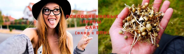 2c-b Зеленокумск