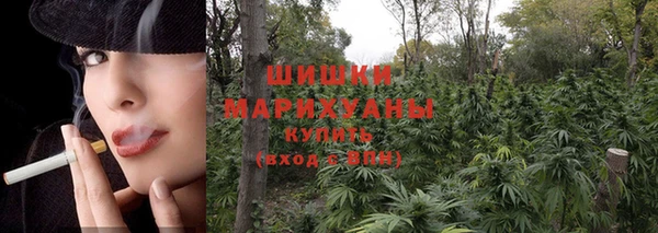 МДПВ Зерноград