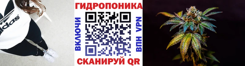 Купить закладки  Сатка  Конопля марихуана 